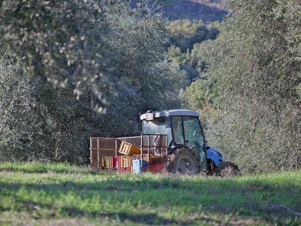 Tenuta La Silva Seggiano Екстериор снимка