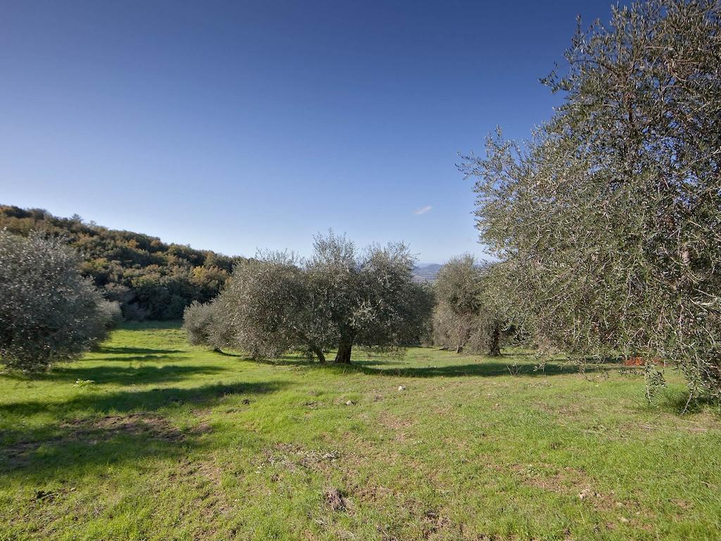 Tenuta La Silva Seggiano Екстериор снимка