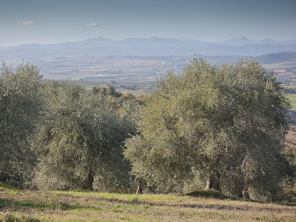 Tenuta La Silva Seggiano Екстериор снимка