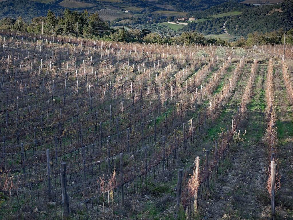 Tenuta La Silva Seggiano Екстериор снимка